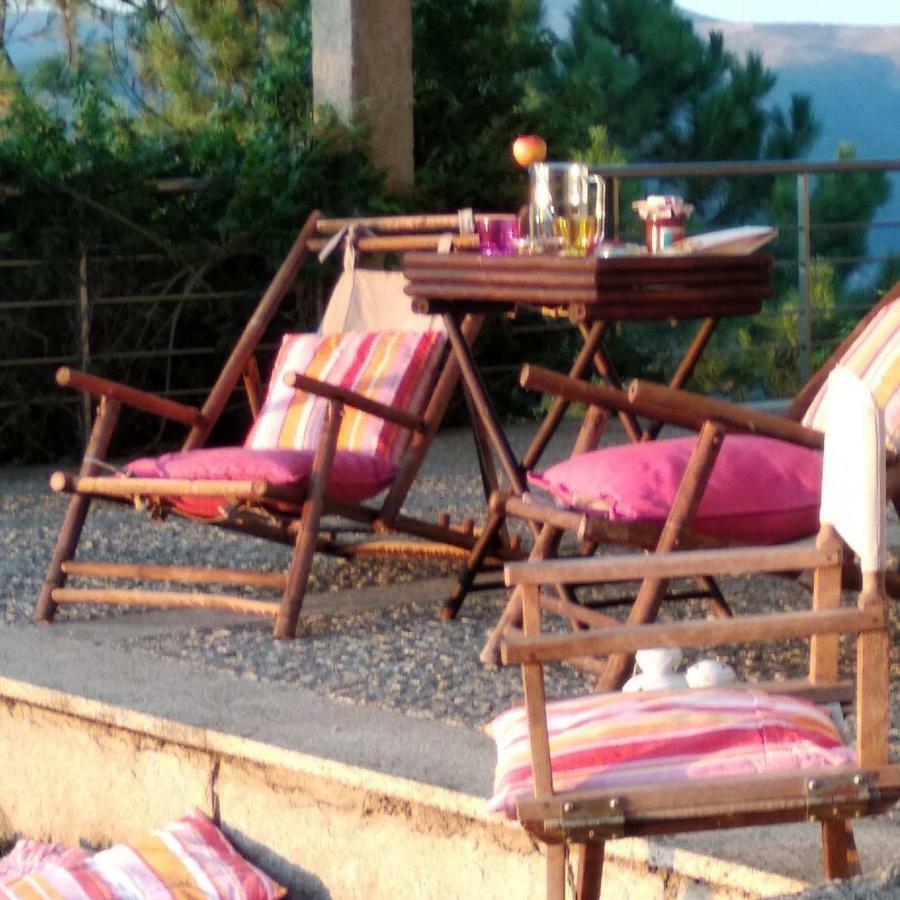 Paraiso Hills - Encostas Do Paraiso: Tranquilidade No Douro Резенде Экстерьер фото