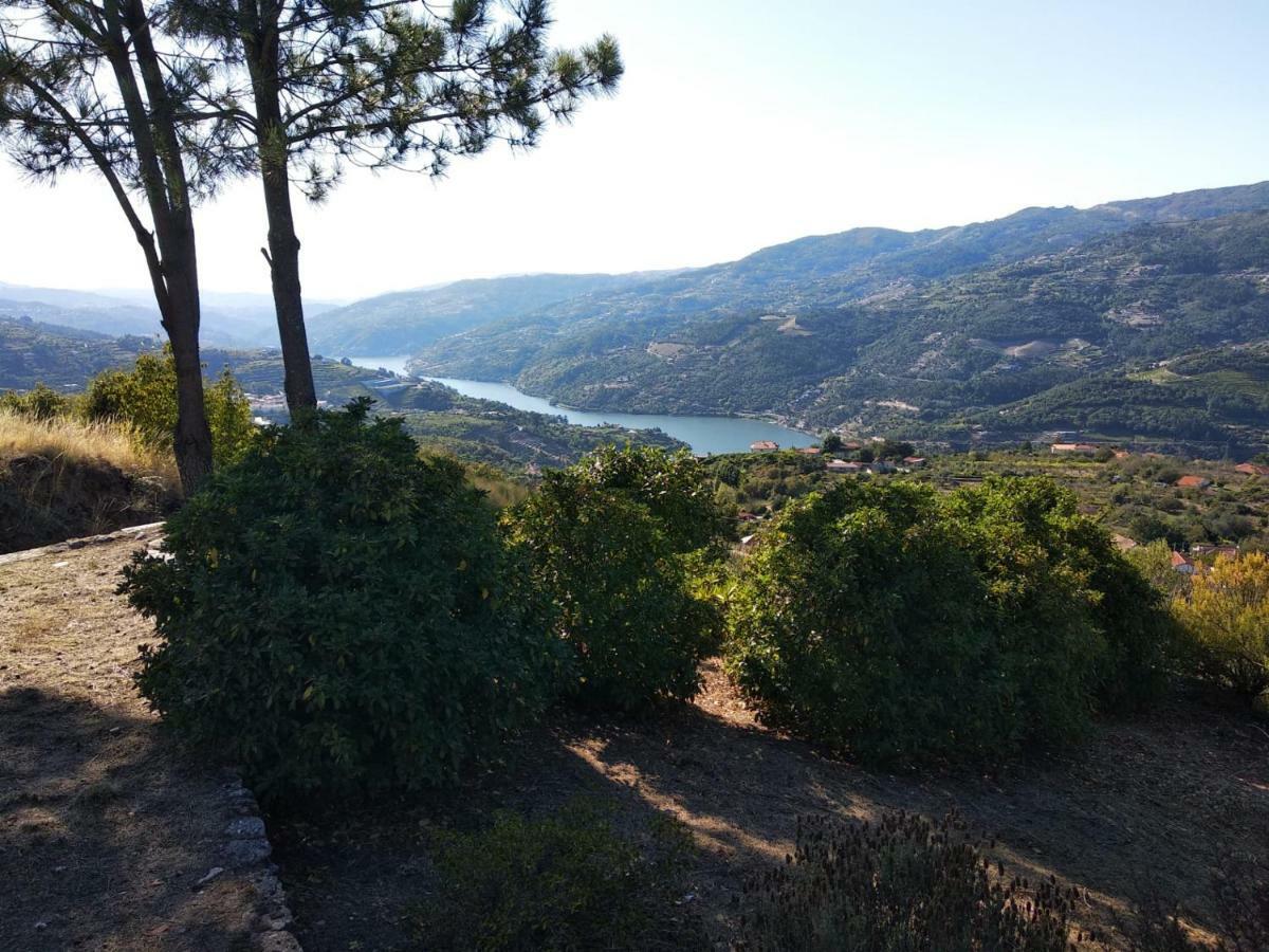 Paraiso Hills - Encostas Do Paraiso: Tranquilidade No Douro Резенде Экстерьер фото